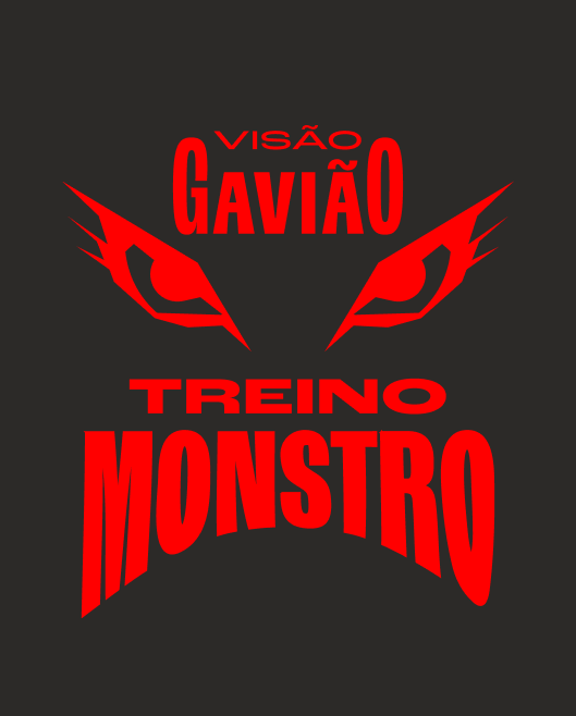 Gaviões Style — plate 18