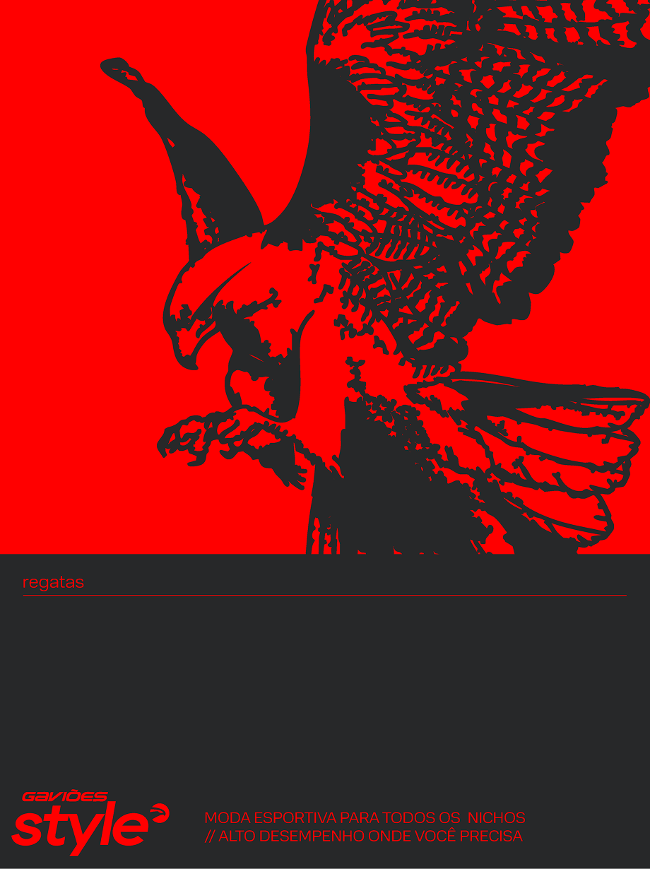 Gaviões Style — plate 22